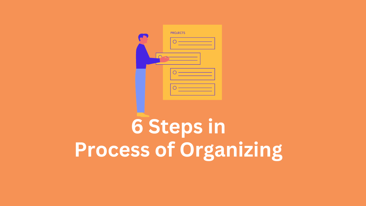 6 steps in process of organizing