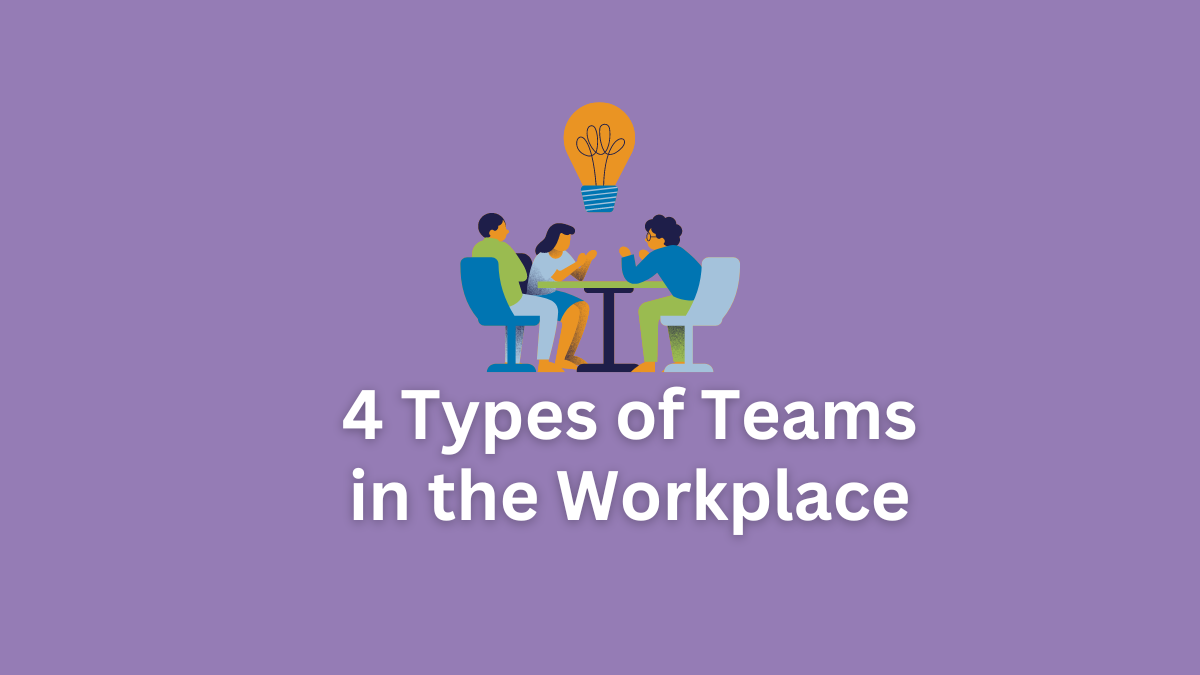 types of teams in the workplace